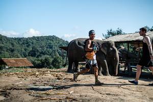 BIB: 
                            <button type="button" onclick="openModal(22422985)" class="btn btn-primary btn-sm float-right btn-popup" data-toggle="modal" data-target=".modal-high-quality">
                        <i class="fas fa-shopping-cart"></i> Add to Cart
                    </button>
                                            <button type="button" onclick="isThisMe(22422985, true)" class="btn btn-success btn-sm float-right btn-popup btn-isme hidden" data-toggle="tooltip" data-placement="bottom" title="นี่คือรูปของคุณใช่ไหม คลิกที่นี่เพื่อเอาเข้าอัลบั้ม">
                        <i class="fas fa-plus"></i> Add to album
                    </button>
                    <button type="button" onclick="isThisMe(22422985, false)" class="btn btn-warning btn-sm float-right btn-popup btn-isnotme hidden">
                        <i class="fas fa-ban"></i> Remove from album
                    </button>